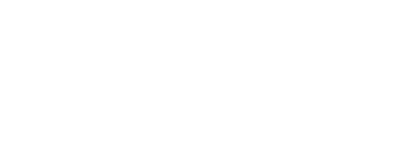 Project Law Group PLLC Logo